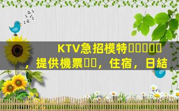 KTV急招模特，提供機票，住宿，日結